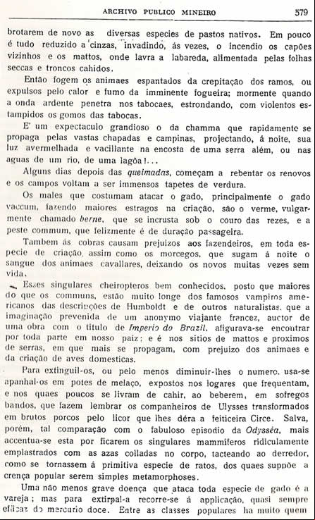 Chorografia Mineira - D